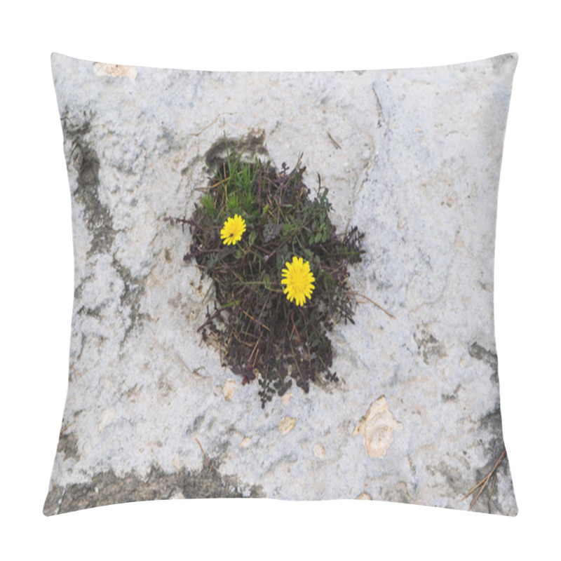 Personality  Two Yellow Flowers Growing From The Rock, Wild Nature, Eyes In The Rocks, View From The Top Pillow Covers