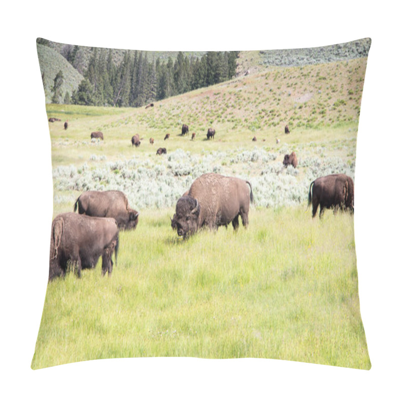 Personality  Herd Of Bisons In Lamar Valley, Yellowstone National Park. Pillow Covers