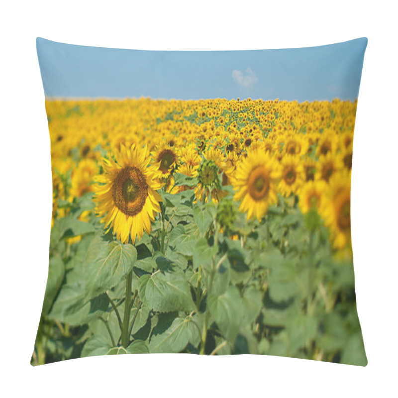 Personality  Sunflower Field Pillow Covers