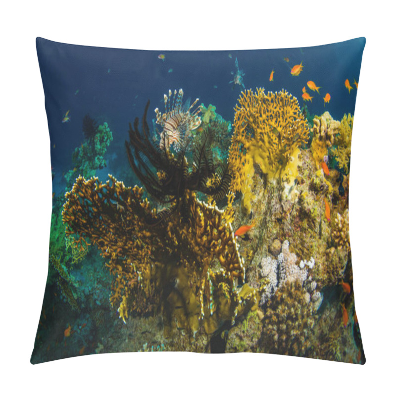 Personality  Red Lionfish Hunting On Beautiful Coral Reef In Red Sea Pillow Covers