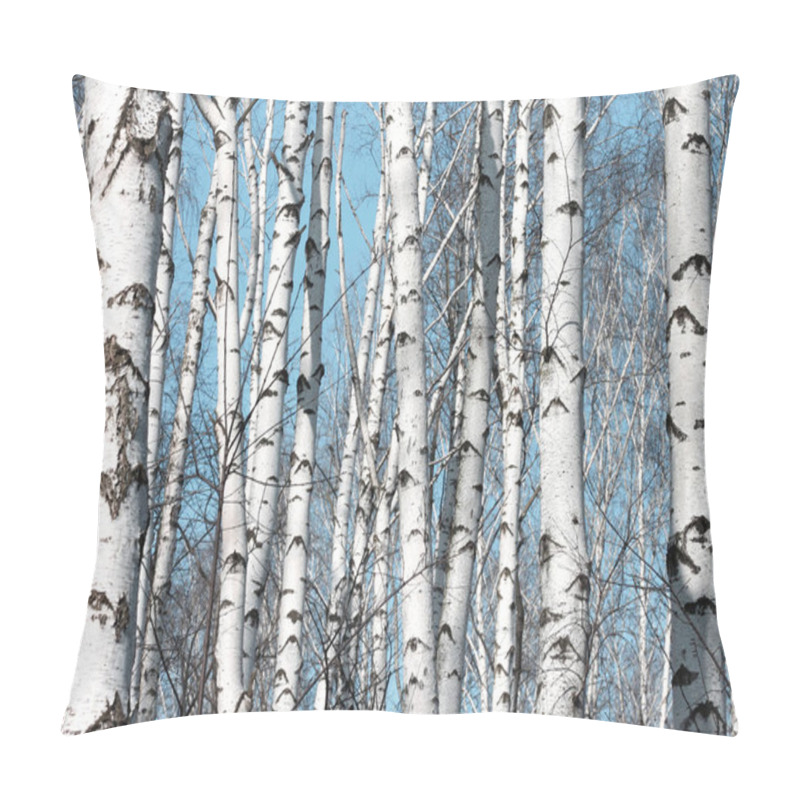 Personality  Several Birches With White Birch Bark In Birch Grove Among Other Birches Pillow Covers