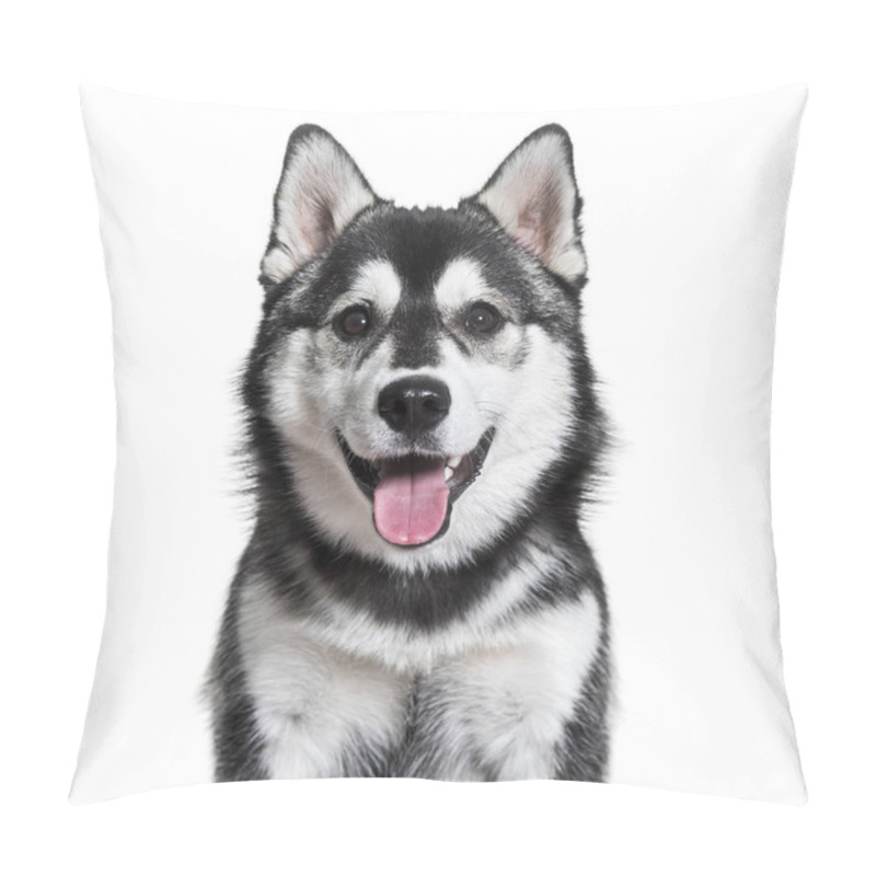 Personality  Pomsky Dog Panting Against White Background Pillow Covers