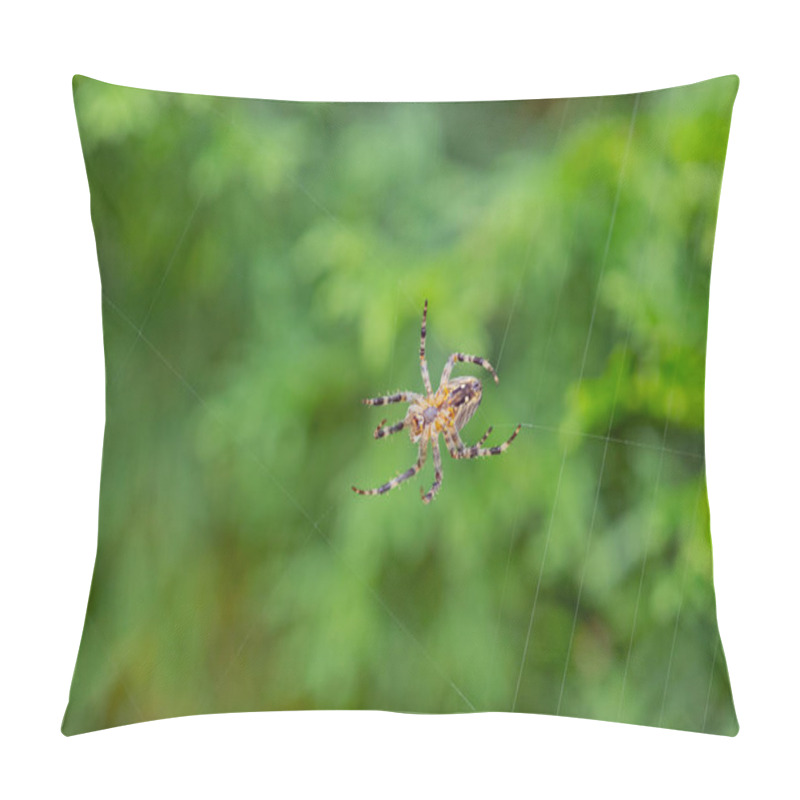 Personality  Close-up Of Spider Building Web In Garden With Vibrant Green Background On A Sunny Day. Concept Of Nature, Wildlife, And Spider Behavior Pillow Covers