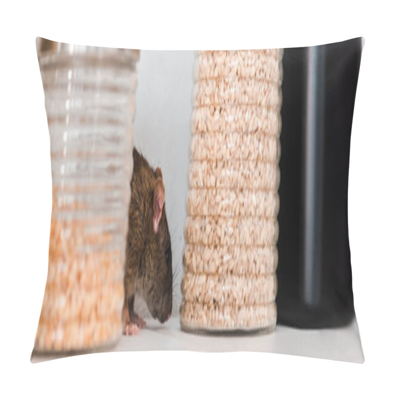 Personality  Panoramic Shot Of Small Rat Near Jars With Peas And Barley In Jars  Pillow Covers