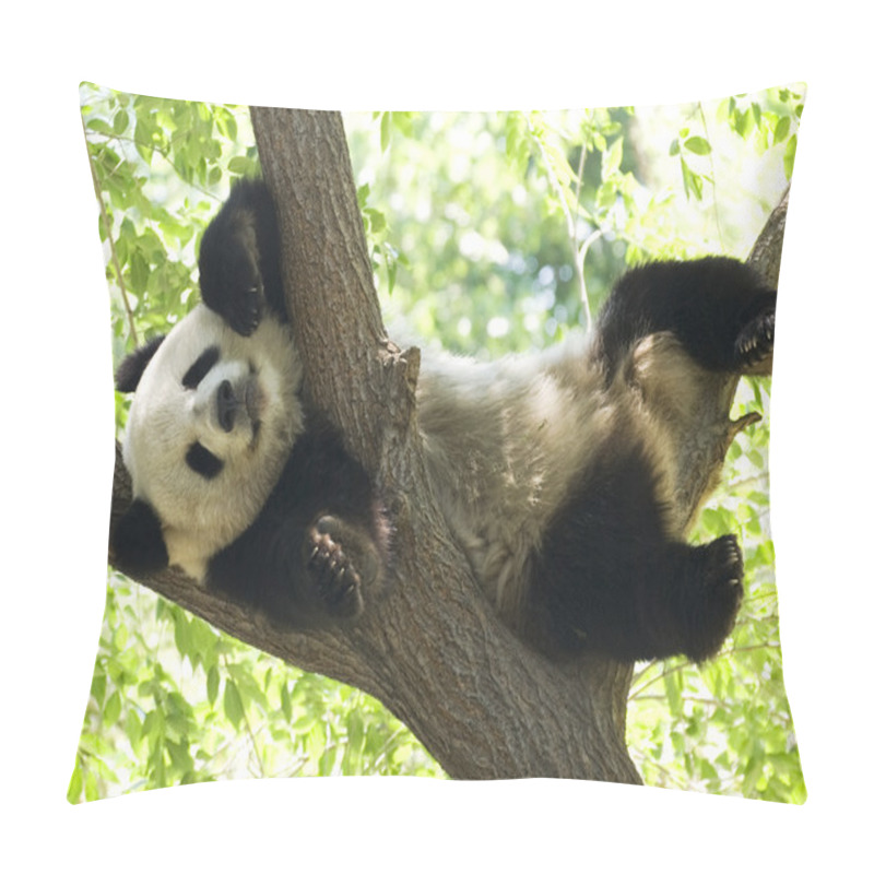 Personality  Panda Pillow Covers