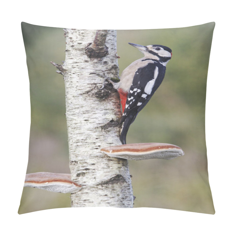 Personality  Great-spotted Woodpecker, Dendrocopos Major, Pillow Covers