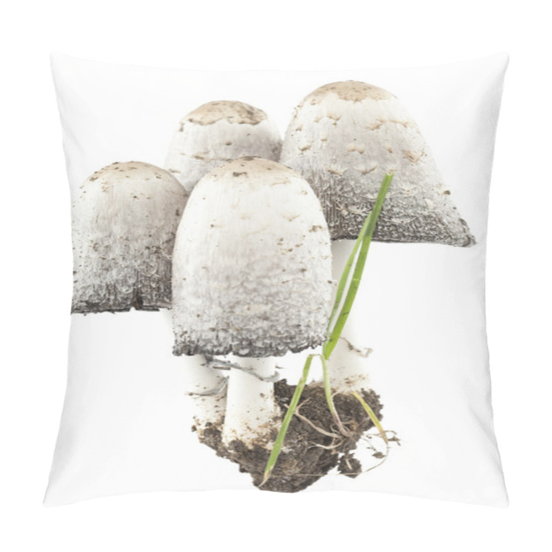 Personality  Coprinus Comatus Pillow Covers