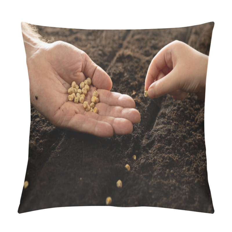 Personality  A Child's Hand And An Adult's Hand Plant Seeds. Growing Vegetable Seeds On Seed Soil In Gardening Metaphor, Agriculture Concept. Sowing Seeds In Open Ground. Pillow Covers