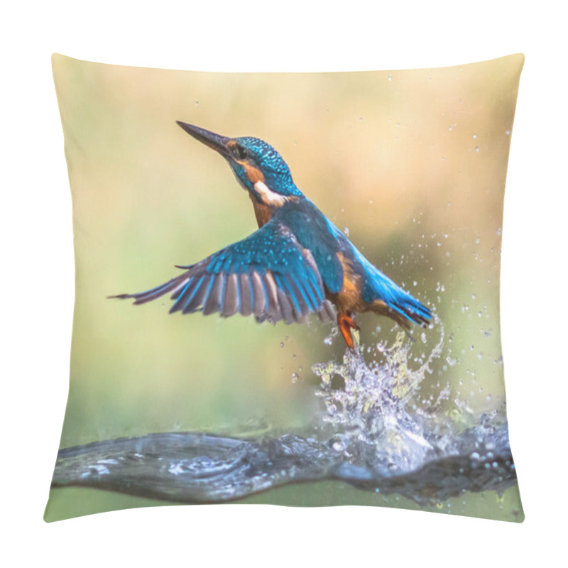 Personality  Common European Kingfisher (Alcedo Atthis).  River Kingfisher Diving And Emerging From Water And Flying Back To Lookout Post On Green Background Pillow Covers