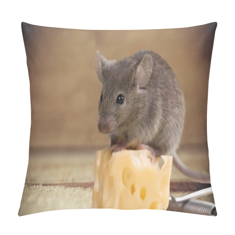 Personality  Gray Mouse Animal  And Cheese  Pillow Covers