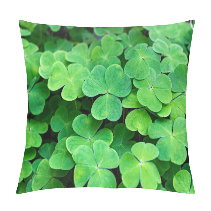 Personality  Green Wild Common Wood-sorrel (Oxalis Acetosella) As A Background In The Forest. Pillow Covers