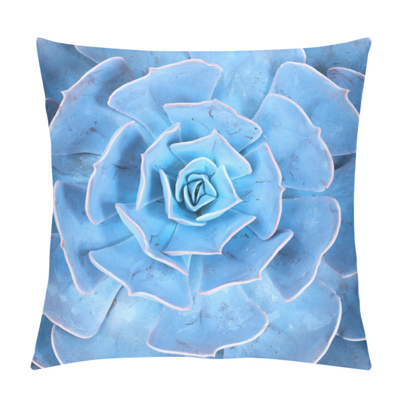 Personality   Miniature Succulent Plants In Garden Pillow Covers