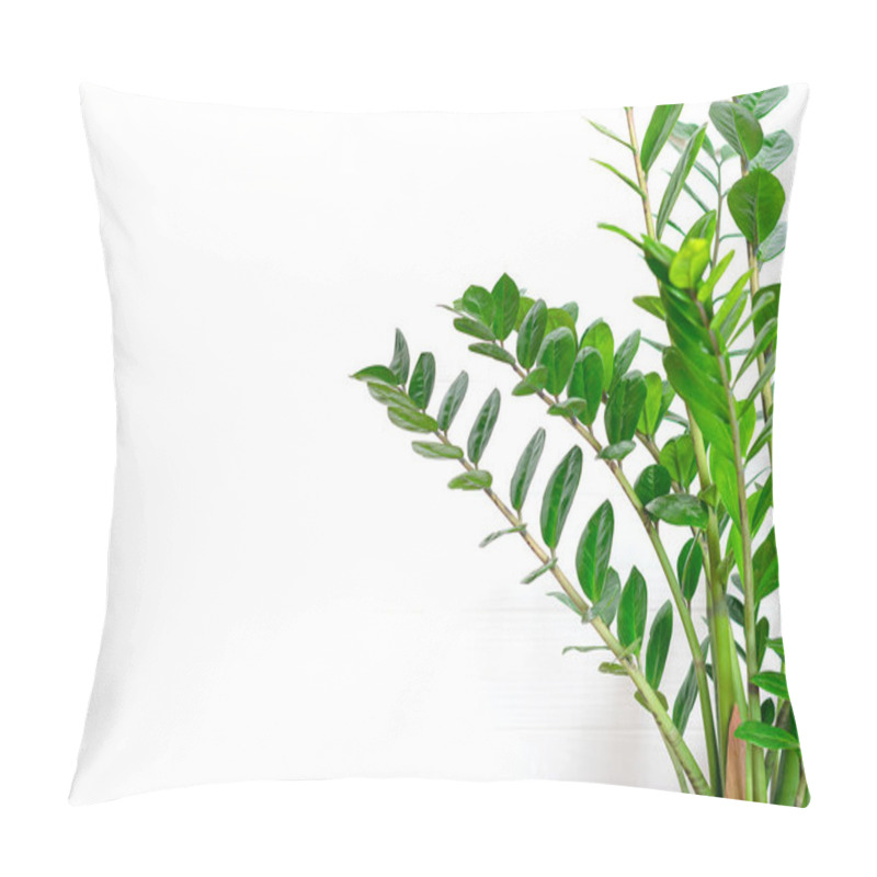 Personality  Green Zamioculcas Zamiifolia Plant With White Pot On Wooden Table House Plant, Home Decor Concept Pillow Covers