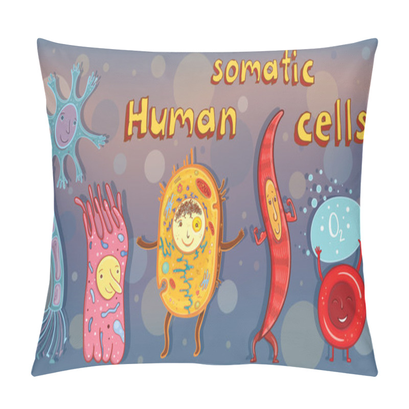 Personality  Vector Illustration Of Human Somatic Cells Pillow Covers