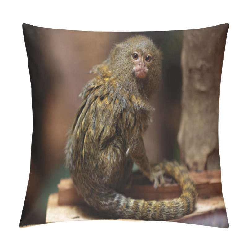 Personality  Pygmy Marmoset (Cebuella Pygmaea) Pillow Covers