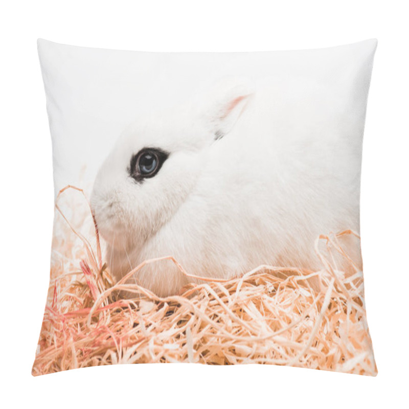 Personality  Cute Rabbit With Black Eye In Nest On White Background Pillow Covers