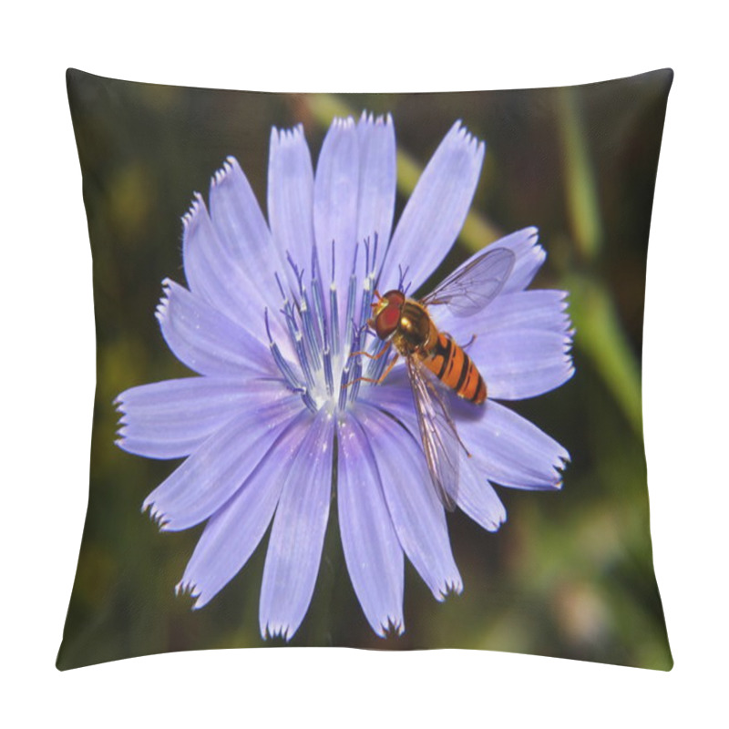 Personality  Hoverfly On Chicory Pillow Covers