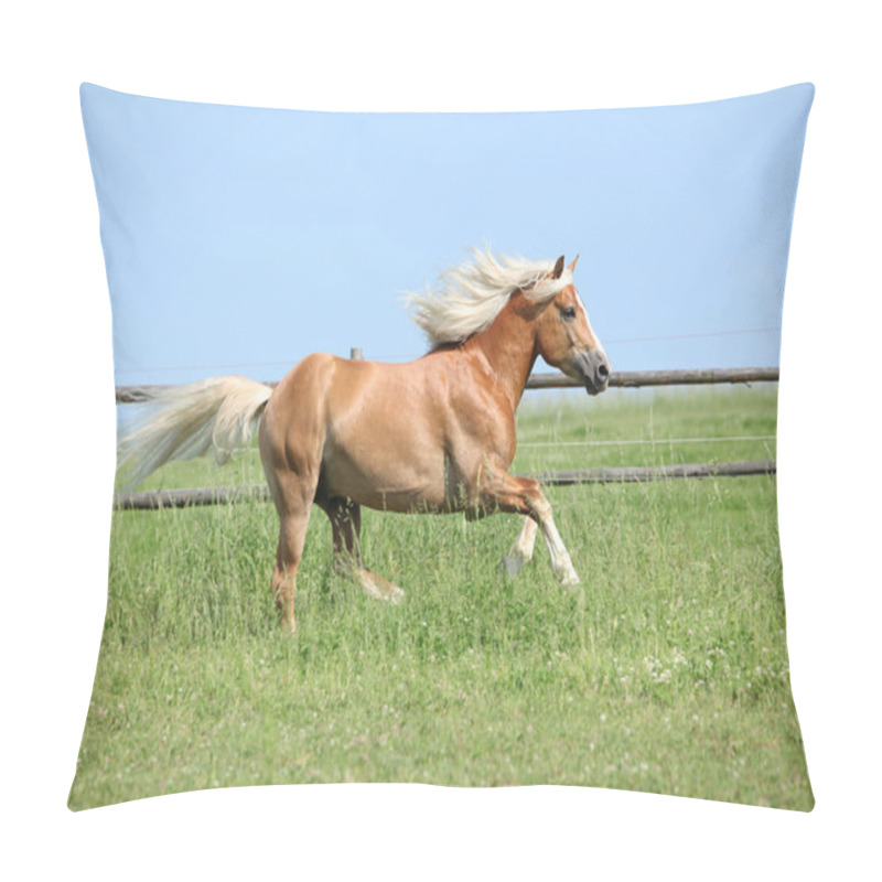 Personality  Amazing Haflinger Running On Pasturage Pillow Covers