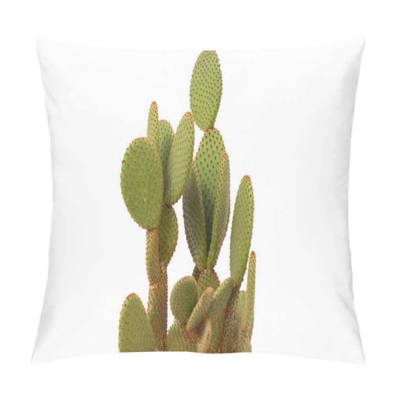 Personality  Close-up Of Opuntia Microdasys Cactus With Spiky Red Pads Pillow Covers