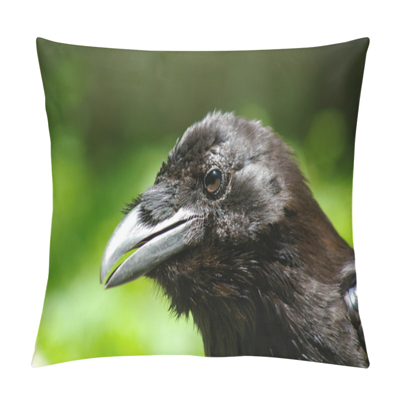 Personality  A Head Of Raven Pillow Covers