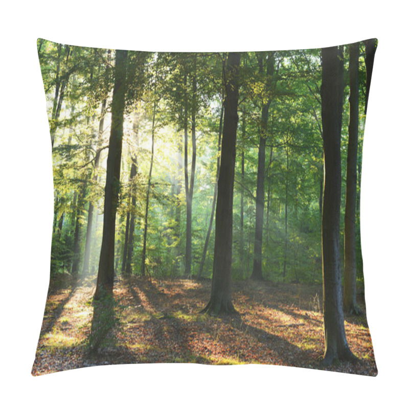 Personality  Beautiful Autumn Forest With Morning Sunshine Pillow Covers