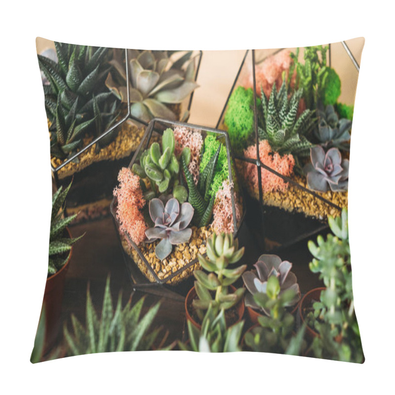 Personality  Diy Florarium Succulents Pots Geometric Vases Pillow Covers