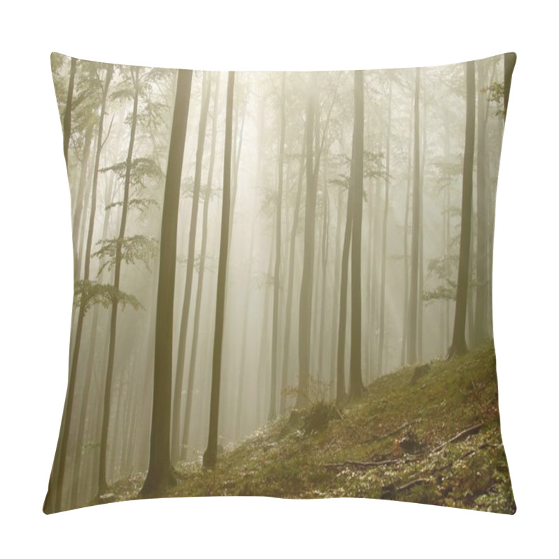 Personality  Sunbeams In The Misty Woods Pillow Covers