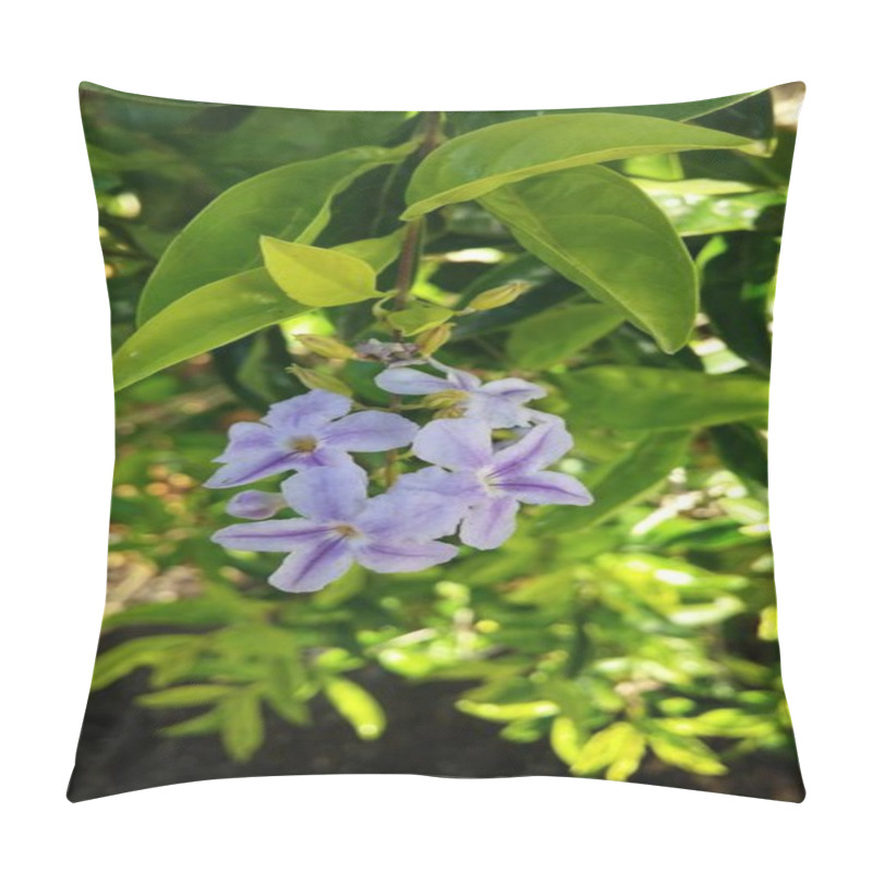 Personality  Blue Flowers In The Garden. Pillow Covers