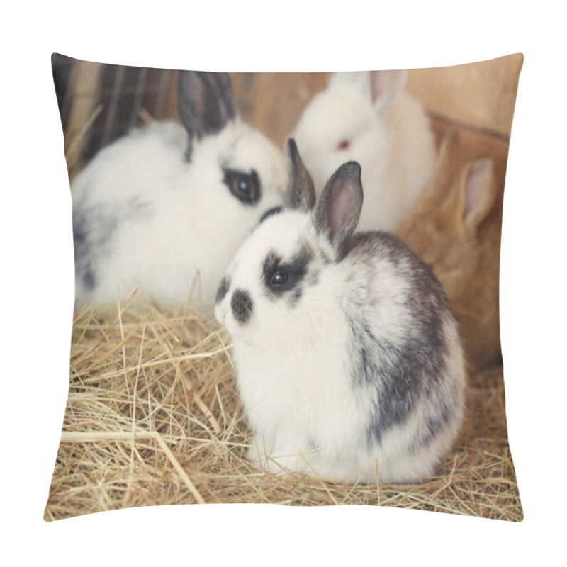 Personality  Cute Funny Rabbits  Pillow Covers