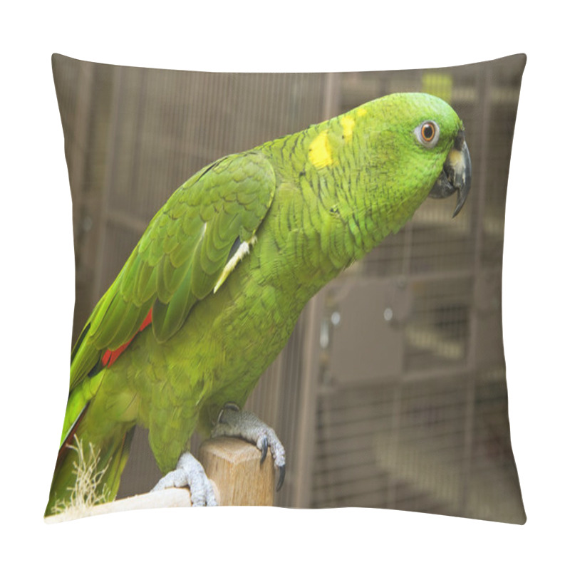 Personality  Amazon Parrot Pillow Covers