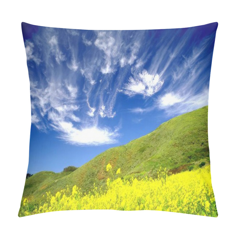 Personality  Bright Field HDR Natural Background Pillow Covers