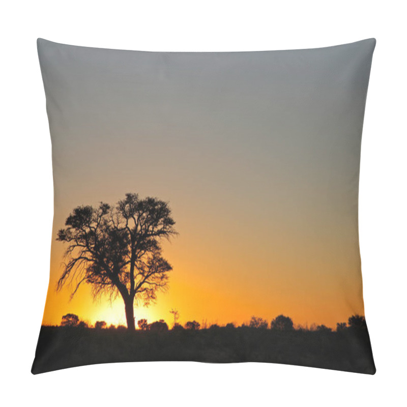 Personality  Sunset With Silhouetted African Thorn Tree, Kalahari Desert, South Africa Pillow Covers