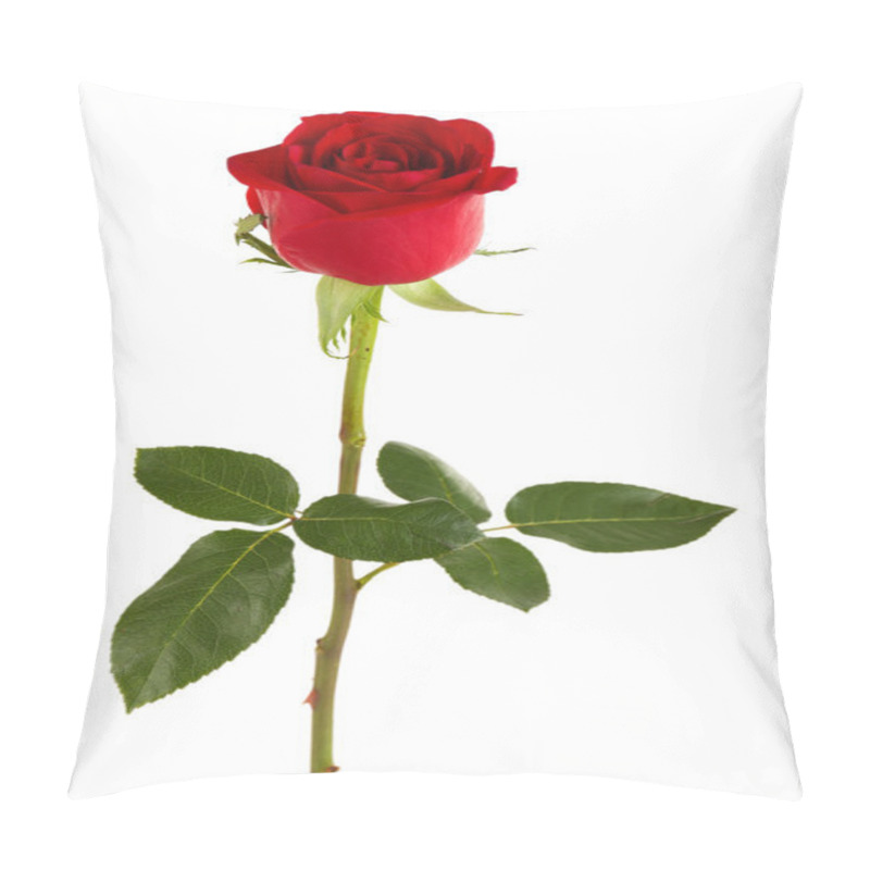 Personality  Beautiful Red Rose Pillow Covers