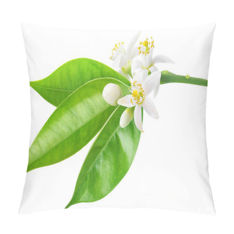 Personality  Orange Branch With Flowers Pillow Covers