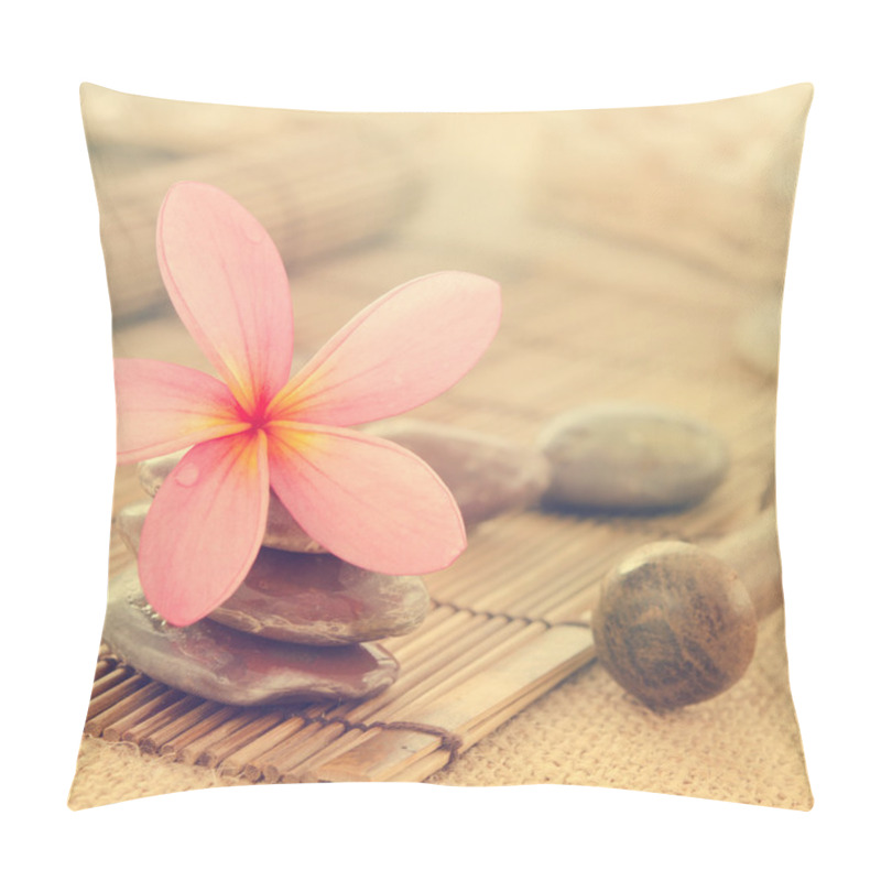 Personality  Frangipani Flowers In Retro Style Pillow Covers