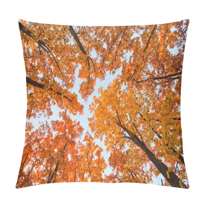 Personality  Bright Oak Pillow Covers