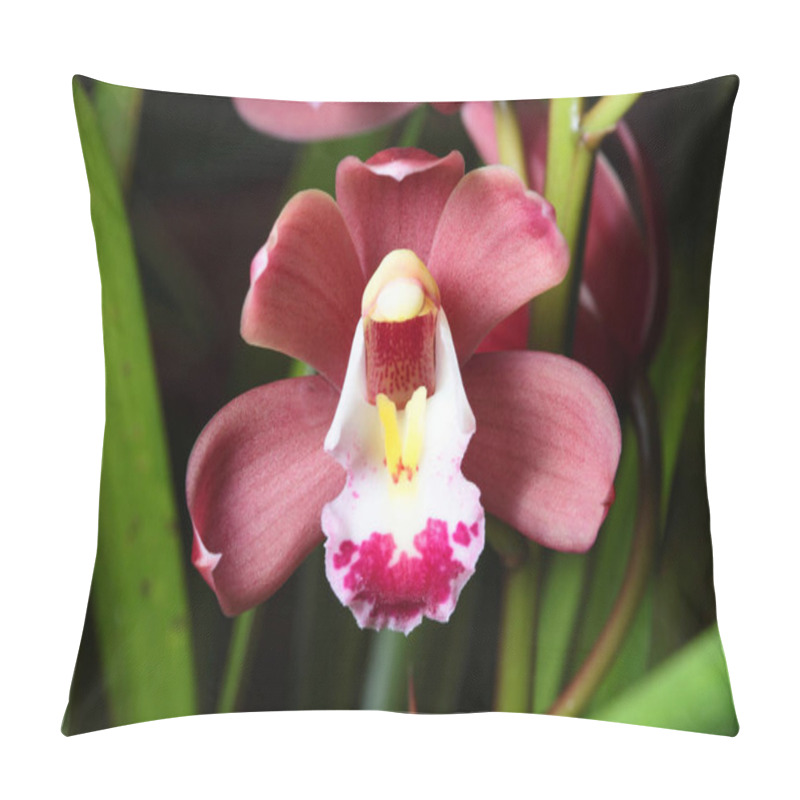 Personality  Orchid Flowers Close Up Pillow Covers