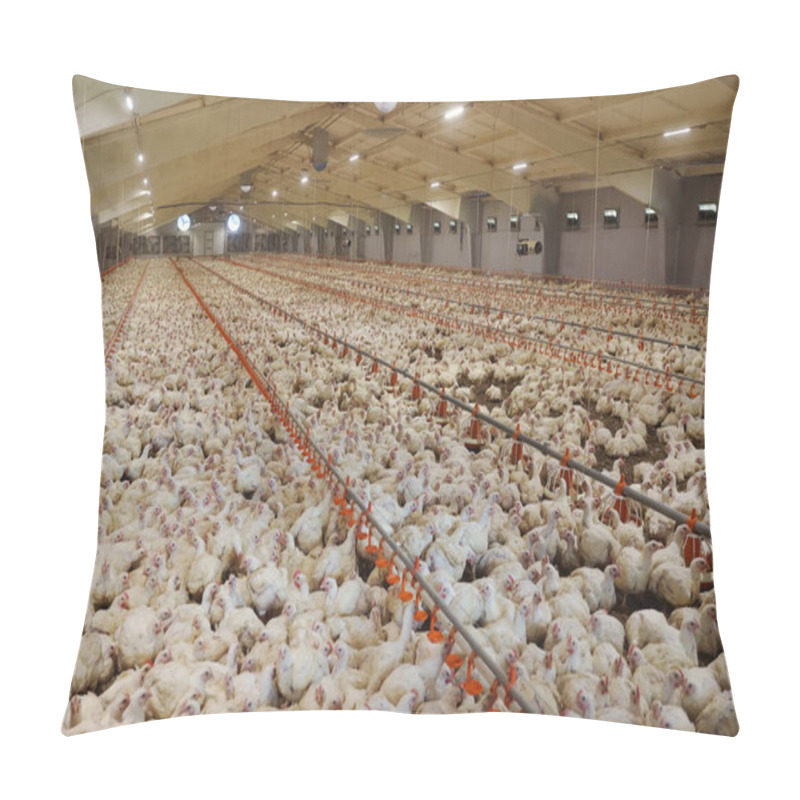 Personality  Meat Production Factory - Broiler Chickens. Pillow Covers