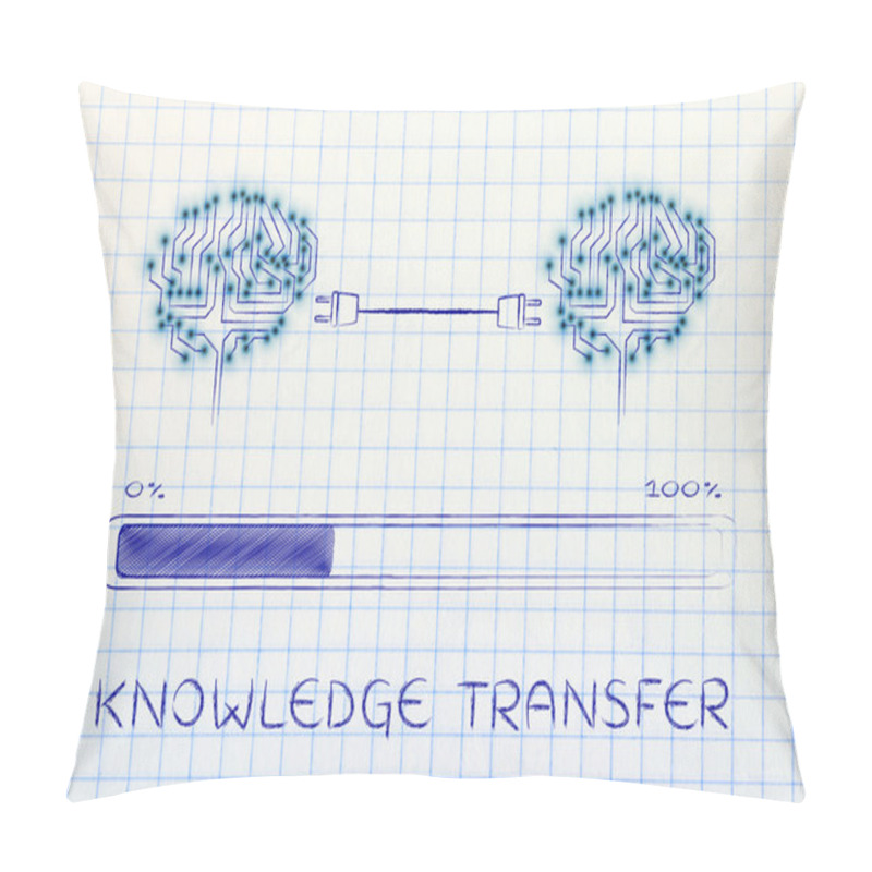 Personality  Concept Of Knowledge Transfer Pillow Covers