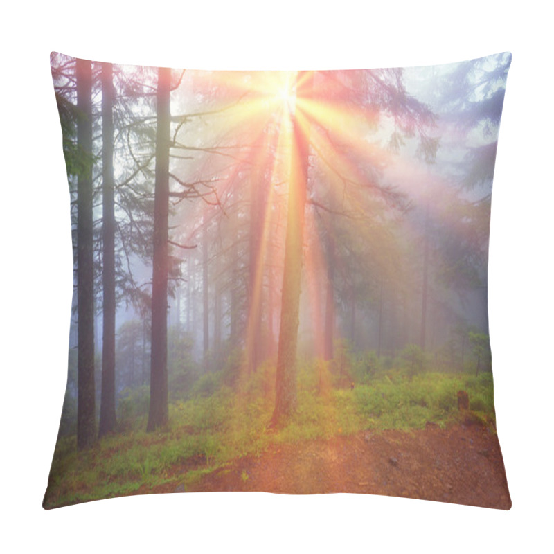 Personality  Carpathian Autumn Forest Pillow Covers