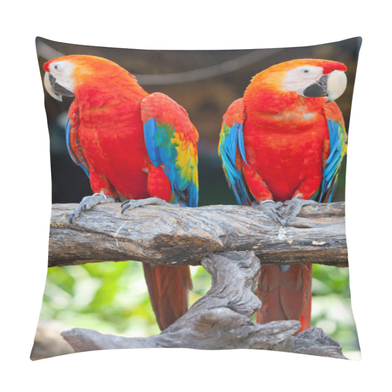 Personality  Beautiful Scarlet Macaw Pillow Covers