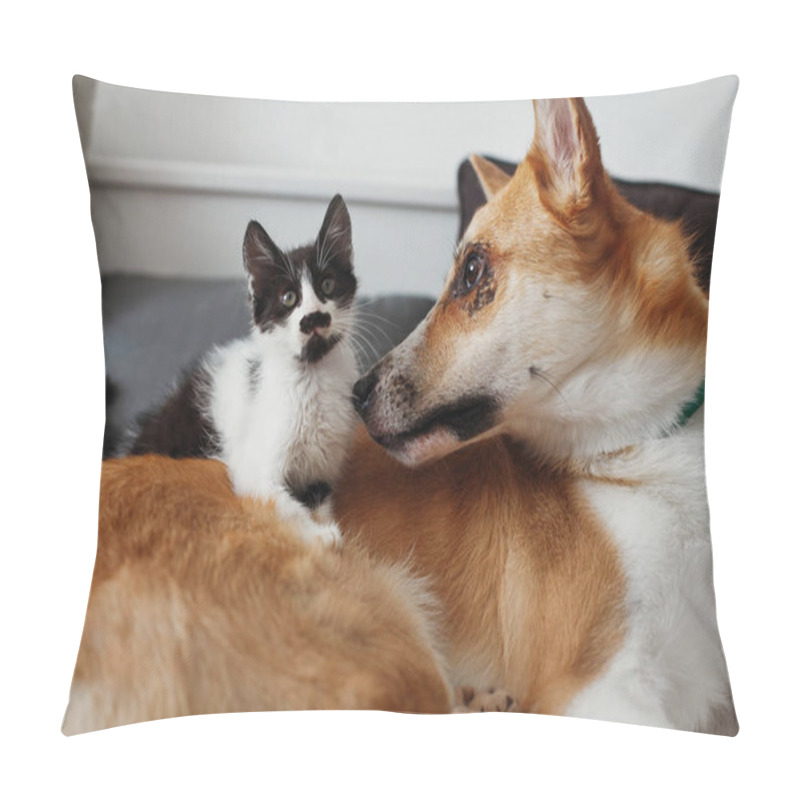 Personality  Cute Little Kitty Sitting On Big Golden Dog On Bed With Pillows In Stylish Room. Adorable Black And White Kitten And Puppy With Funny Emotions Playing Together On Blanket. Best Friends Pillow Covers