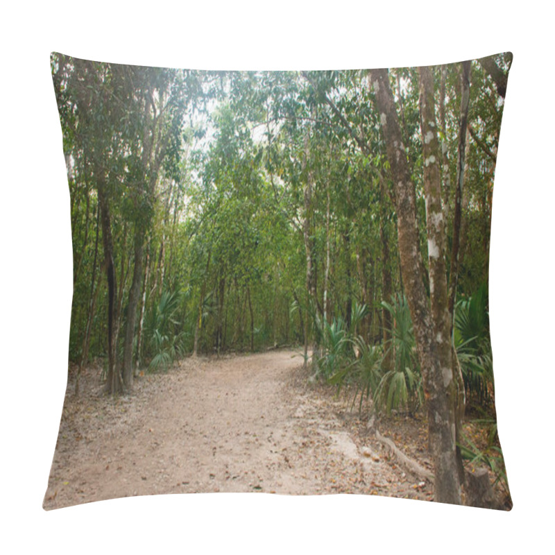 Personality  Jungle Trail Bordered By Trees, Leading To The Famous Pyramid In Cobe. Mexico, Yucatan. Pillow Covers