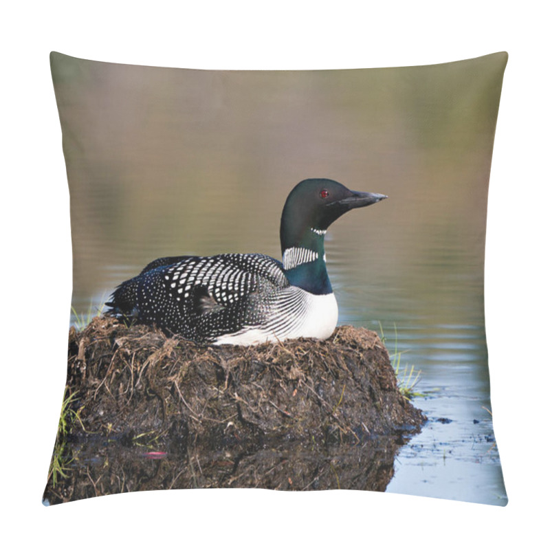 Personality  Loon Nesting On Its Nest With Marsh Grasses, Mud And Water By The Lakeshore In Its Environment And Habitat Displaying Red Eye, Black And White Feather Plumage, Greenish Neck With A Blur Background. Loon Nest Image. Loon On Lake. Loon In Wetland.  Pillow Covers