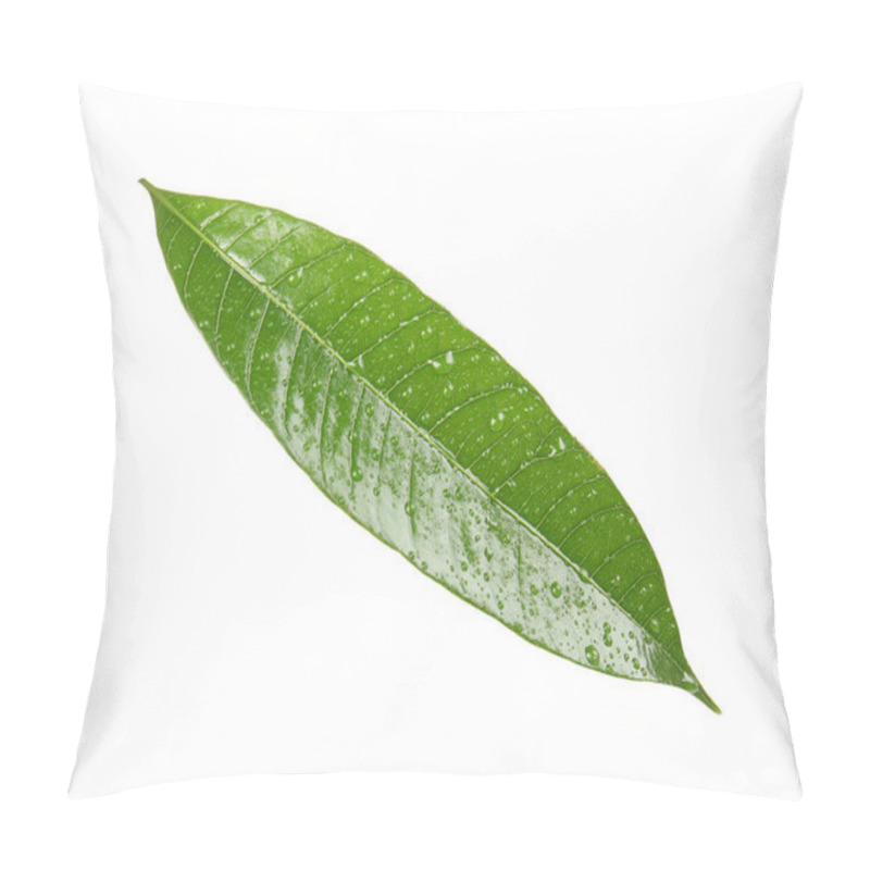 Personality  Green Mango Leaf With Water Drops On White Background Pillow Covers