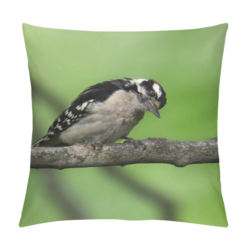 Personality  Downy Woodpecker (male) (dryobates Pubescens) Pillow Covers