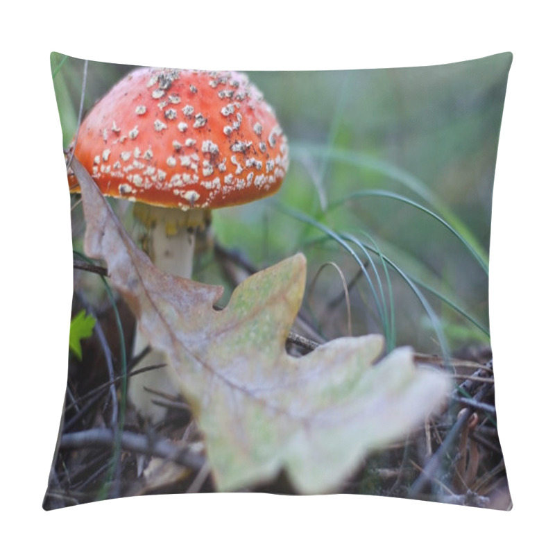 Personality  Amanita Muscaria Or Fly Agaric Is A Poisonous Mushroom Pillow Covers