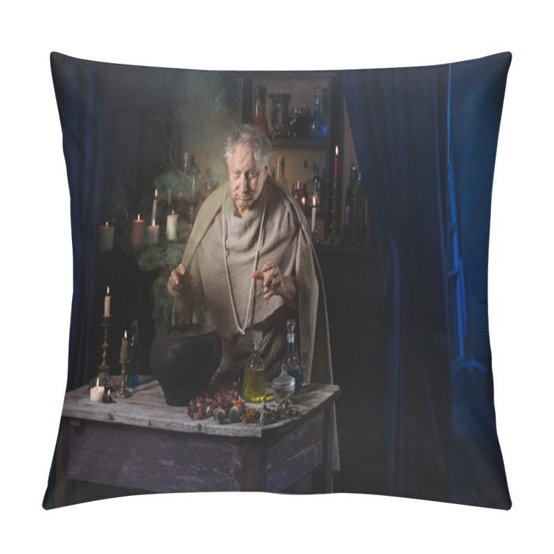 Personality  Elderly Alchemist Monk Brews  Magic Potion Pillow Covers