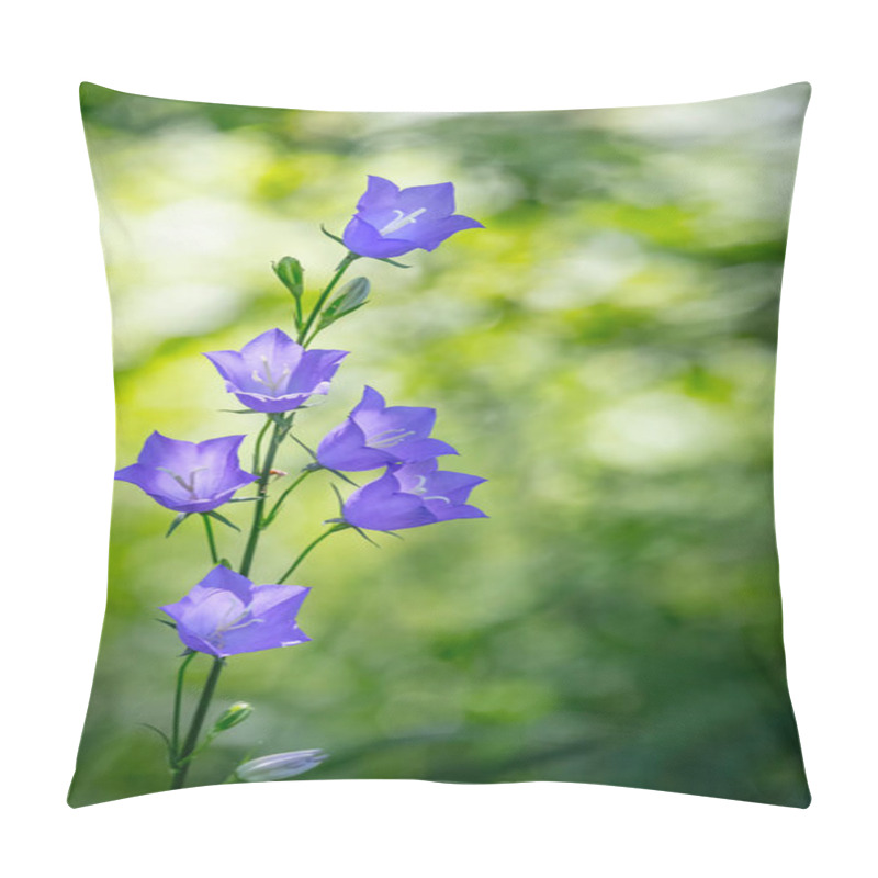 Personality  Pale Blue Flowers Of The Peach-Leaved Bellflower Campanula Persicifolia On Green Natural Floral Background. Free Space For Text. Pillow Covers