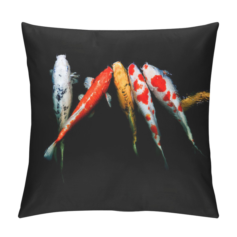 Personality  Japan Fish Call Carp Or Fancy Carp Swimming In A Pond. Movement Of Swimming And Space.  Pillow Covers